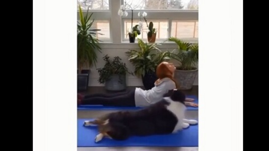 The image, taken from the viral video posted by Viola Davis, shows the dog and her human.(Instagram/@my_aussie_gal)
