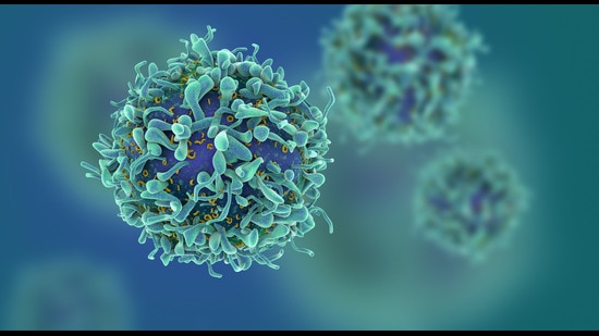 3D illustration of cancer cells (Shutterstock)