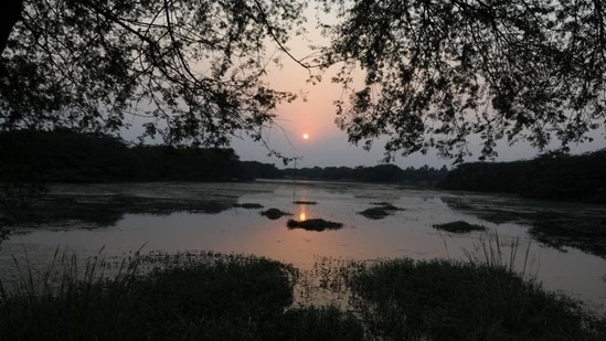 In August last year, the Sultanpur national park was notified as a Ramsar site - a wetland of international importance.(HT File Photo) In August last year, the Sultanpur national park was notified as a Ramsar site - a wetland of international importance.(HT File Photo)