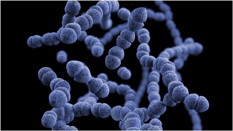 The scourge of anti-microbial resistance (AMR) is approaching us faster than we expected. (Unsplash)