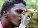 Vava Suresh was rushed to the hospital on January 31 after a cobra bite.