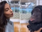 Nora Fatehi is currently holidaying in Dubai. Nora Fatehi is currently holidaying in Dubai.