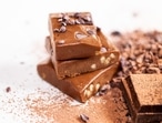 Protein bars make for a powerful and yummy snack.