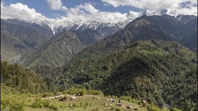 In 1891, there were 25 breweries in India, though 15 of those were owned by just three companies, of which 12 had been established since 1879, and eight since 1870. The plants were generally situated in the Himalayan foothills. (AP (PIC FOR REPRESENTATION))
