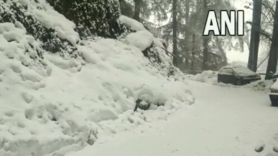 The image, posted on Twitter, shows snowfall in Shimla. (Twitter/@ANI) The image, posted on Twitter, shows snowfall in Shimla. (Twitter/@ANI)