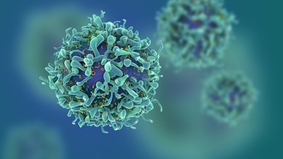 Cancer patients fit the perfect template for a ‘high-risk patient’ in terms of Covid-19. (Representational Image) Cancer patients fit the perfect template for a ‘high-risk patient’ in terms of Covid-19. (Representational Image)