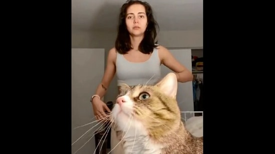 The image is taken from the Reddit video and shows the cat with its human.(Reddit/@UndGrdhunter)