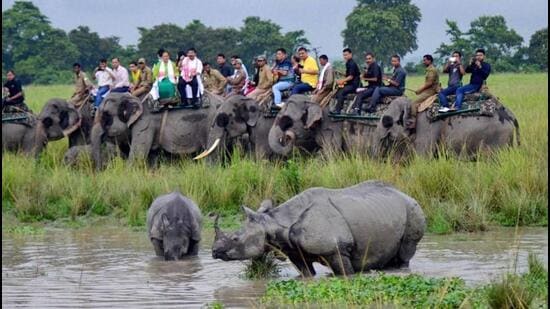 Seven of the nine animal corridors of Kaziranga National Park fall in Nagaon district while the other two are in Golaghat district of Assam. Earlier, an inquiry had revealed encroachments and constructions in eight of them. (PTI PHOTO.) Seven of the nine animal corridors of Kaziranga National Park fall in Nagaon district while the other two are in Golaghat district of Assam. Earlier, an inquiry had revealed encroachments and constructions in eight of them. (PTI PHOTO.)