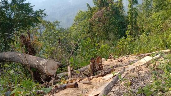 Assam accuses Mizoram of new encroachment bid; latter says its ...