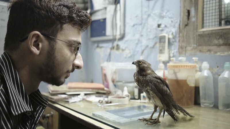 A still from the documentary, All That Breathes