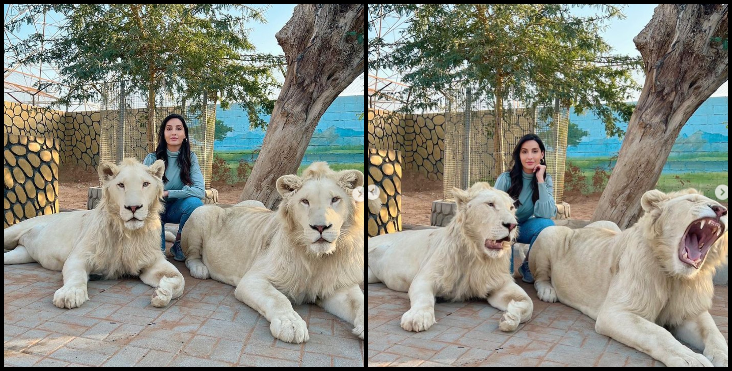 Nora Fatehi posed with lions too.