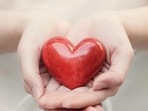 Some foods are especially a boon for your cardiovascular health, reported Fox News. Here are a few options that you can go for your cardiovascular health. Some foods are especially a boon for your cardiovascular health, reported Fox News. Here are a few options that you can go for your cardiovascular health.