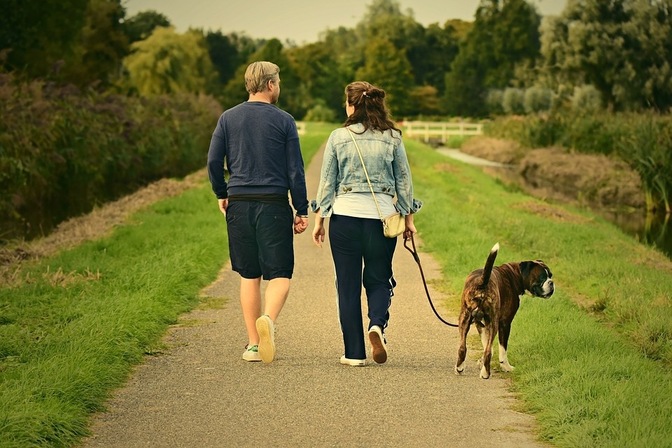 Some of zone 1 cardio exercises are walking on a treadmill at a comfortable pace, taking your dog for a walk, slow walking, and cycling.