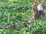 The Centre has released <span class='webrupee'>₹</span>1051.92 crores for conservation 160 wetlands since 2017 under the National Plan for conservation of Aquatic Eco-Systems.(AFP)