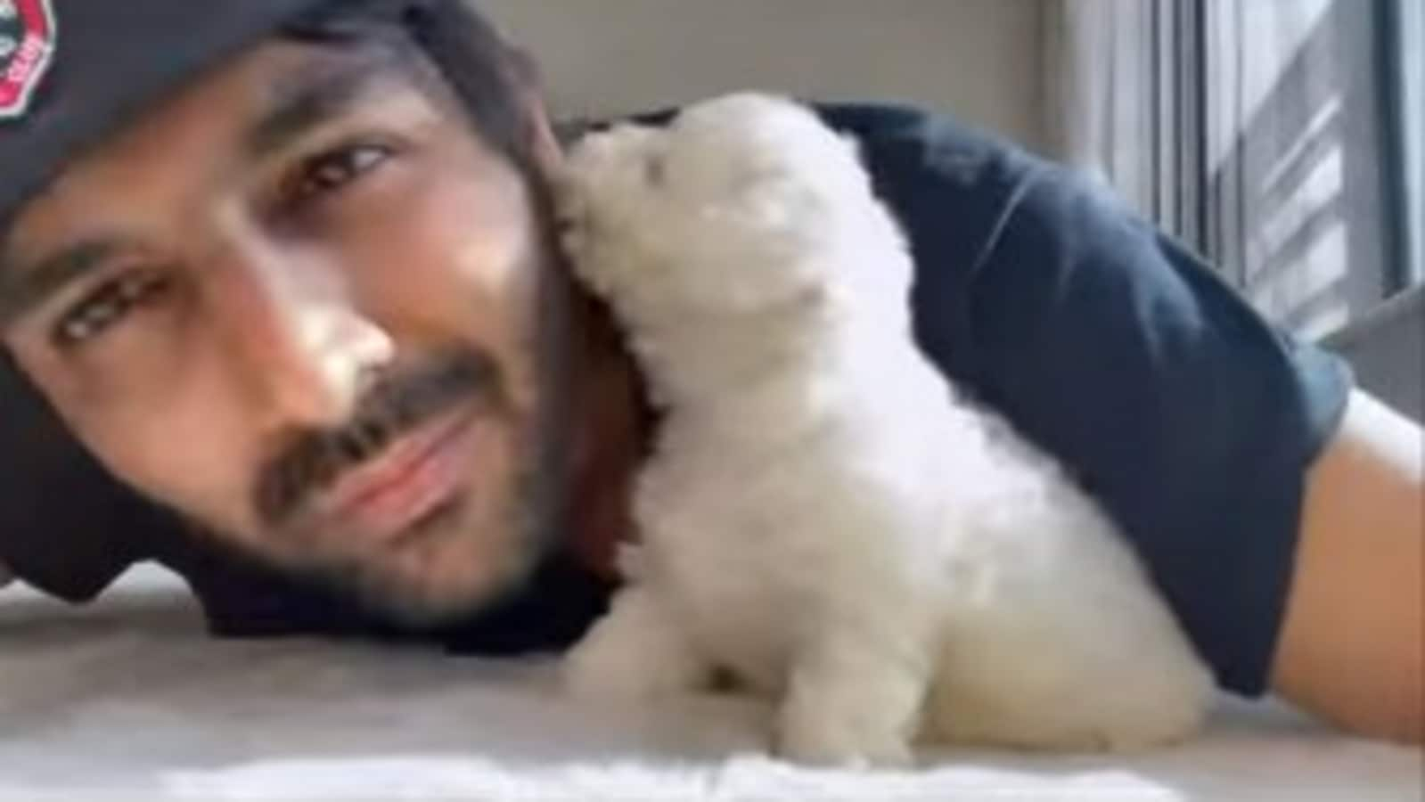 Kartik Aaryan shares Instagram Reel with new puppy Katori, Kriti ...