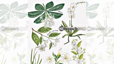 It’s strange how you associate flowers with certain stages of your life (Aparna Ram) It’s strange how you associate flowers with certain stages of your life (Aparna Ram)