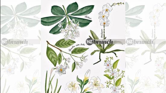It’s strange how you associate flowers with certain stages of your life (Aparna Ram)