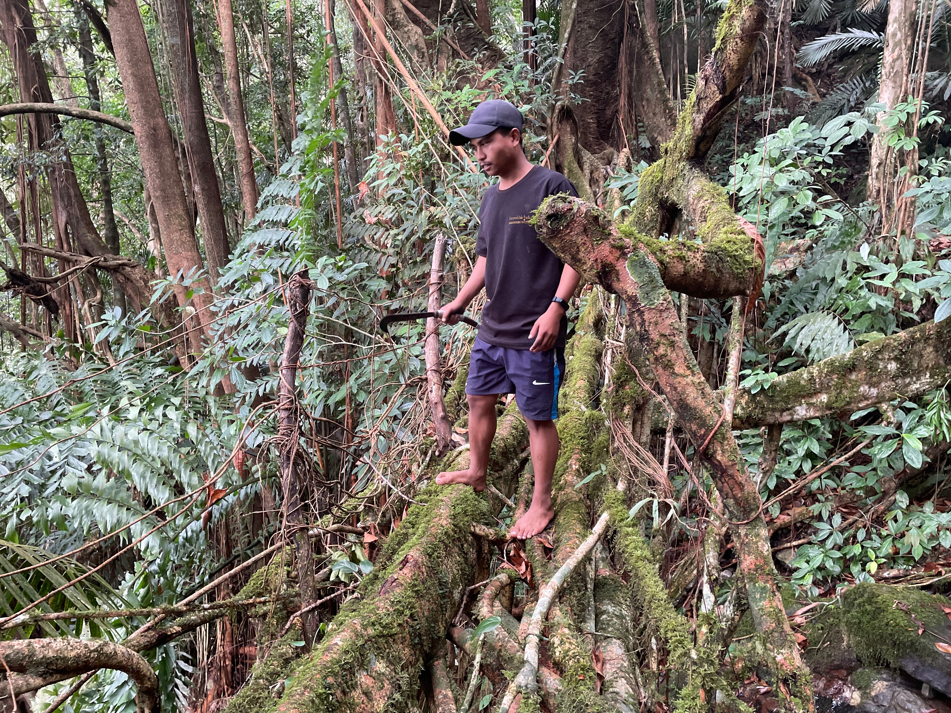 Morningstar Khongthaw, 26, from Meghalaya established the Living Bridge Foundation in 2016, to preserve, protect and create new living-root bridges in the state. Morningstar Khongthaw, 26, from Meghalaya established the Living Bridge Foundation in 2016, to preserve, protect and create new living-root bridges in the state.