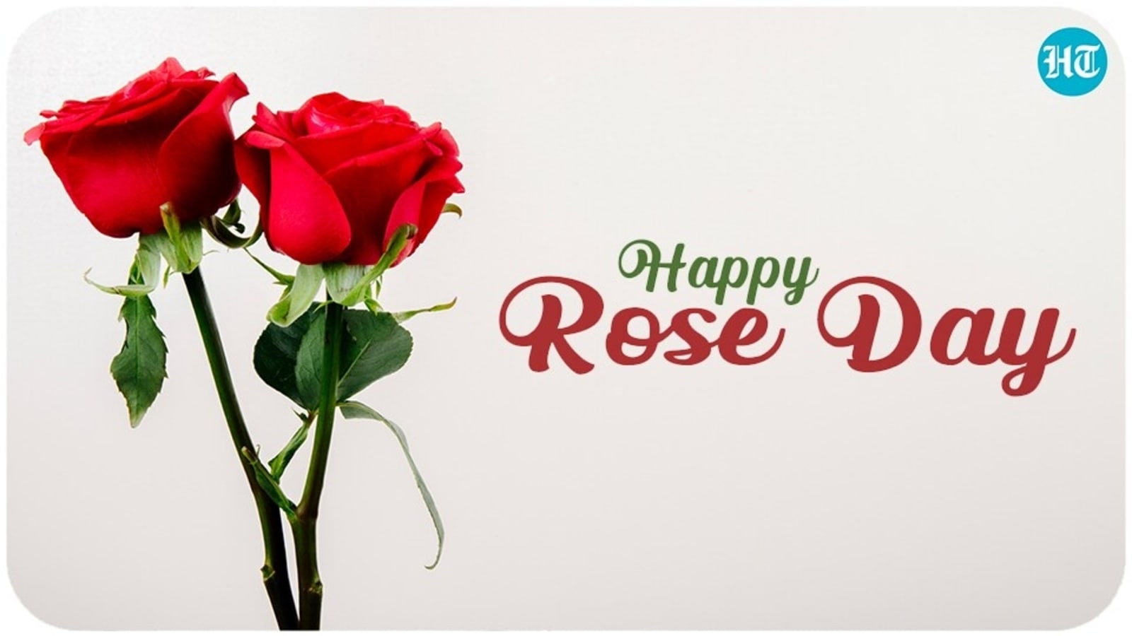 Happy birthday card red roses hi-res stock photography and images
