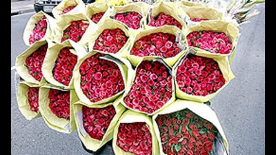 Ahead of Valentine’s day, the demand for roses has increased in the domestic market, however, there has been a drop in the exports this year, said rose cultivators. (REPRESENTATIVE IMAGE) Ahead of Valentine’s day, the demand for roses has increased in the domestic market, however, there has been a drop in the exports this year, said rose cultivators. (REPRESENTATIVE IMAGE)