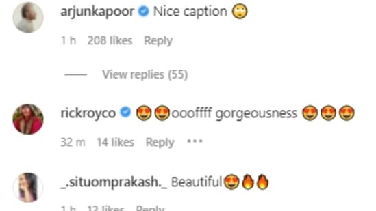 Arjun Kapoor's comment on Malaika Arora's post.&nbsp;