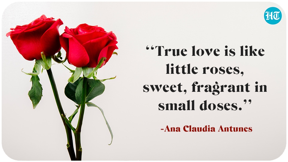 red rose wallpaper with love quotes in urdu