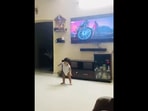 A screengrab from the video shared on Twitter that shows a toddler mimicking Allu Arjun's hook step from Pushpa's Srivalli. A screengrab from the video shared on Twitter that shows a toddler mimicking Allu Arjun's hook step from Pushpa's Srivalli. 