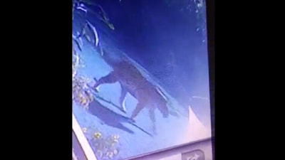 Screengrab from CCTV footage.