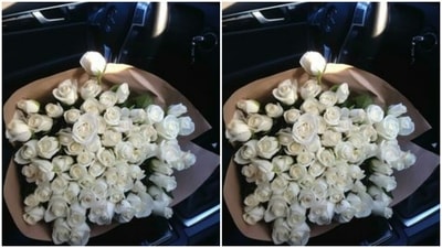 The white rose stands for simplicity, and is usually gifted during wedding ceremonies or funerals.&nbsp; (Pinterest)
