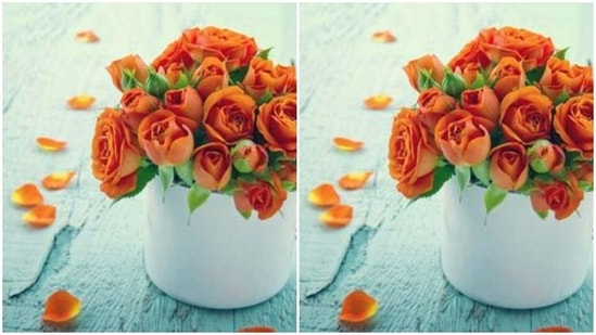 Orange rose speaks of immense passion for someone. Gift them to the one you love and let them know how much you are passionate about them.(Pinterest)
