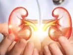 The symptoms of kidney cancer usually manifest themselves in the later stages, as the cancer progresses The symptoms of kidney cancer usually manifest themselves in the later stages, as the cancer progresses
