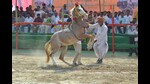 Bah is also famous for an annual cattle fair held in former prime minister Atal Behari Vajpayee’s ancestral village Bateshwar. (HT Photo)