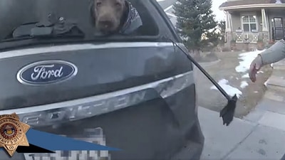 The image, taken from a Facebook video, shows the dog trapped inside a burning car. It was later rescued by the policeman. (Facebook/@Douglas County Sheriff's Office)