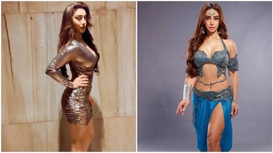 Maheck Chahal will feature in Naagin 6.