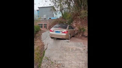 The image, taken from the viral Facebook video, shows the car on a narrow road. (Screengrab)