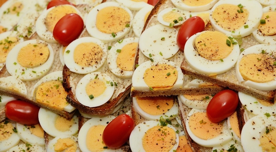 Boiled eggs(Pixabay)