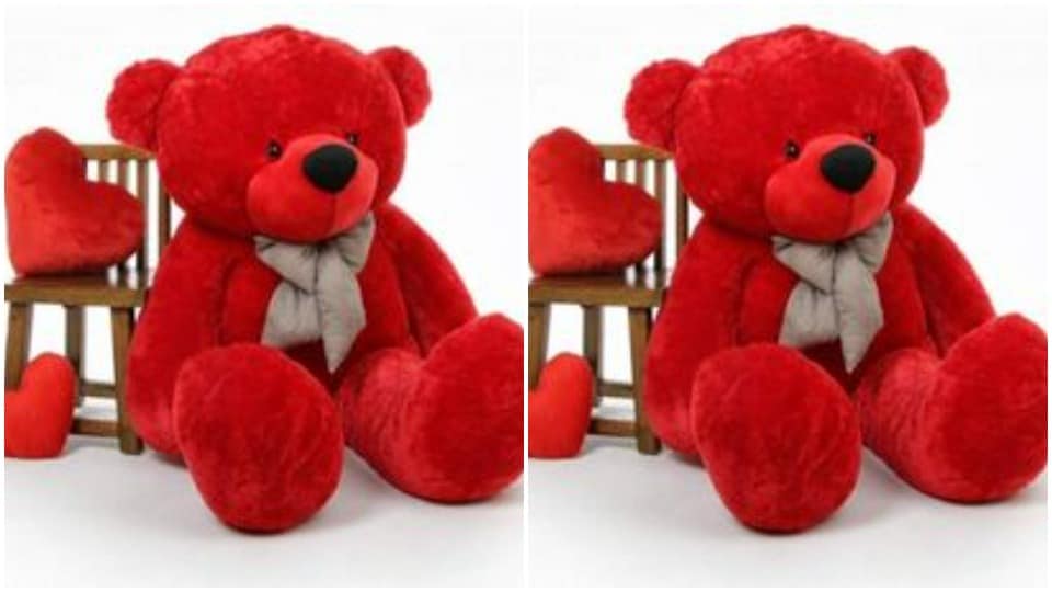 Red teddy signifies love.(Pinterest)