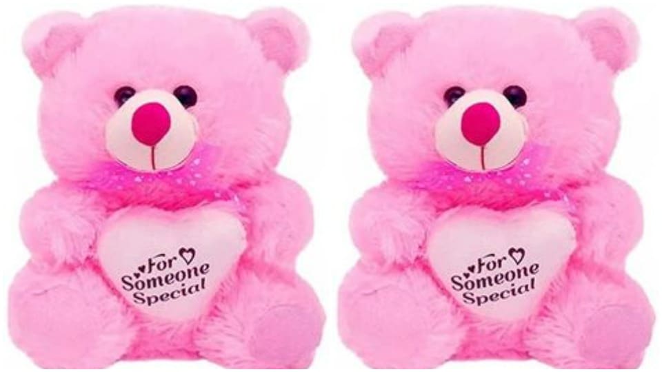 Pink teddy bear expresses appreciation.(Pinterest)