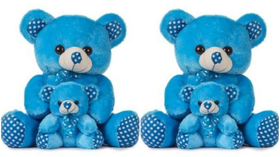 Blue teddy bear signifies commitment(Pinterest)
