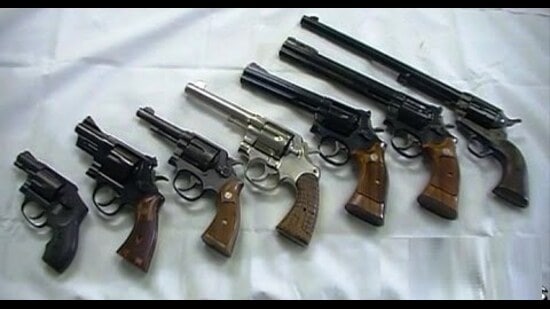 Rakesh Dhar Tripathi, Apna Dal (S) candidate from Pratappur seat, owns a rifle and a revolver worth *2 lakh, while Vijama Yadav, SP candidate from Pratappur, also owns a rifle worth ₹2 lakh and a double-barrel rifle worth ₹40,000. (For Representation only)
