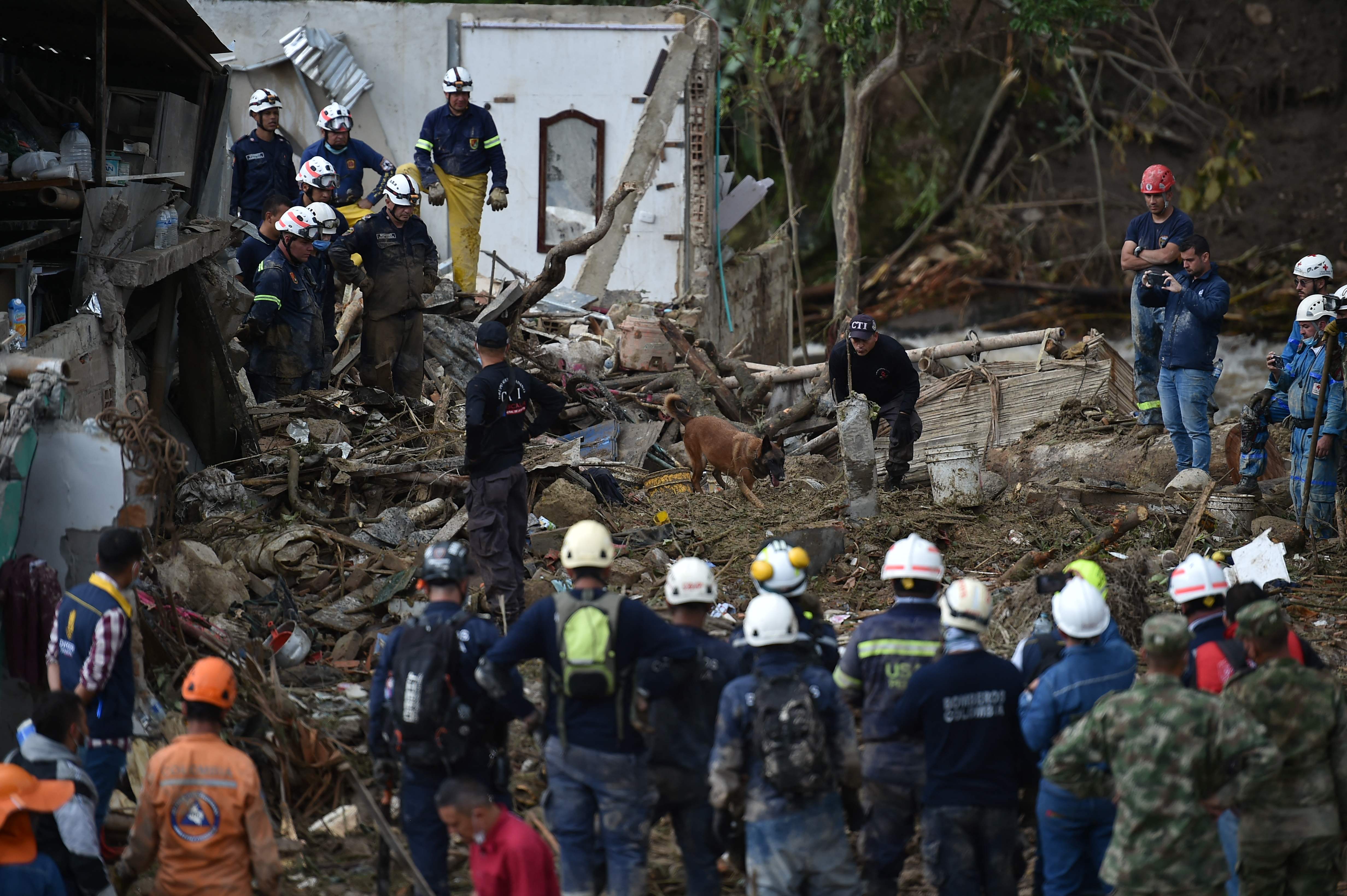 A rescue dog searches for victims after a landslide caused by heavy rains in Pereira, Risaralda department, Colombia, on February 8, 2022. (Photo by Luis ROBAYO/AFP)
