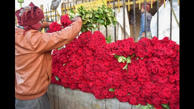 Flower shop owners at the wholesale flower market in Ghazipur are expecting rose prices to reach ₹1,000 for a bunch, this Valentine’s Day. Flower shop owners at the wholesale flower market in Ghazipur are expecting rose prices to reach ₹1,000 for a bunch, this Valentine’s Day.