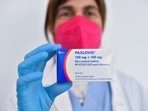 Dr. Cesira Nencioni, Director of infectious diseases at Misericordia hospital, holds coronavirus disease treatment pill Paxlovid, in Grosseto, Italy.(Reuters)