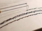 The National Centre of Seismology confirmed the seismic movement at depth of 28km in the Tehri Garhwal region. (Representative Photo/Reuters)