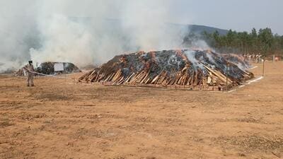 The Andhra Pradesh police set fire to over 200 tonnes of processed cannabis (ganja) at Koduru village near Anakapalle in Visakhapatnam district on Saturday. (HT PHOTO.) The Andhra Pradesh police set fire to over 200 tonnes of processed cannabis (ganja) at Koduru village near Anakapalle in Visakhapatnam district on Saturday. (HT PHOTO.)