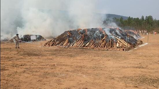 The Andhra Pradesh police set fire to over 200 tonnes of processed cannabis (ganja) at Koduru village near Anakapalle in Visakhapatnam district on Saturday. (HT PHOTO.)