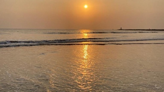 Harsh Goenka also posted this image with the tweet that prompted responses from Riteish Deshmukh and Ajinkya Rahane(Twitter/@hvgoenka) Harsh Goenka also posted this image with the tweet that prompted responses from Riteish Deshmukh and Ajinkya Rahane(Twitter/@hvgoenka)