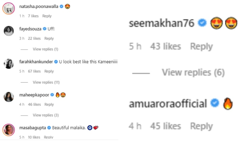 Comments on Malaika Arora's post.&nbsp;