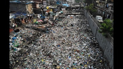 The BMC was directed to take this step in November last year by the National Green Tribunal (NGT) (AFP) The BMC was directed to take this step in November last year by the National Green Tribunal (NGT) (AFP)