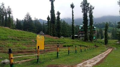 A nature trail at the biodiveristy park at Mandi’s Janjehli in HP. (HT Photo) A nature trail at the biodiveristy park at Mandi’s Janjehli in HP. (HT Photo)